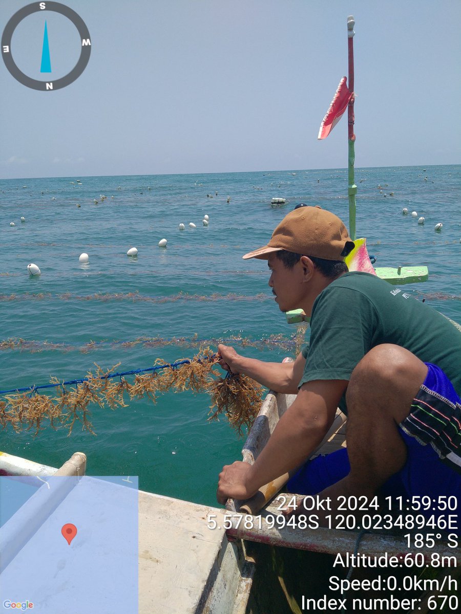 AnggunAngg25809's tweet photo. Kegiatan penyuluhan 
Mendampingi kelompok dalam mengambilan titik koordinat kebun bibit rumput laut KBRL di Desa Pajukukang 

#Luhlapor
#kkp
#pusluhKP https://t.co/z454tt5EME