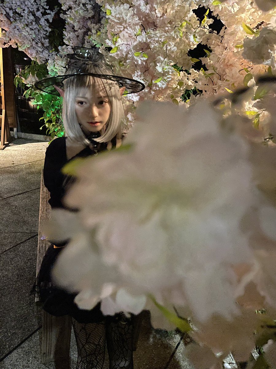 ws7EIKdaBZsrqSI's tweet photo. Photos taken directly from the camera.
Passers-by like the doll and rush to take photos, feeling satisfied.😉😉
#sinodoll
#topsino
#實體娃娃
#人像攝影
#南瓜節米藤兒 https://t.co/fFYUFy0ytS