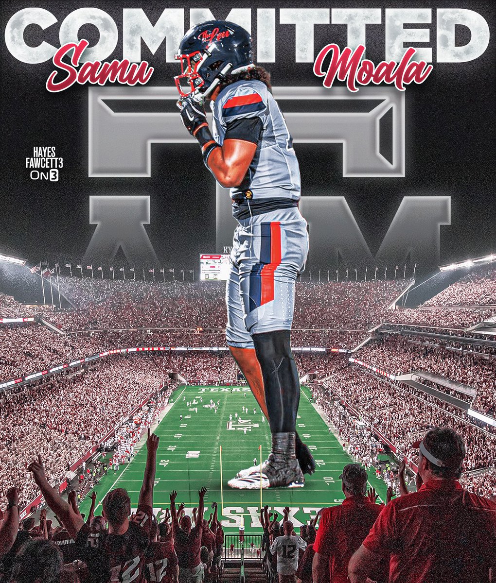 Hayes Fawcett tweet media