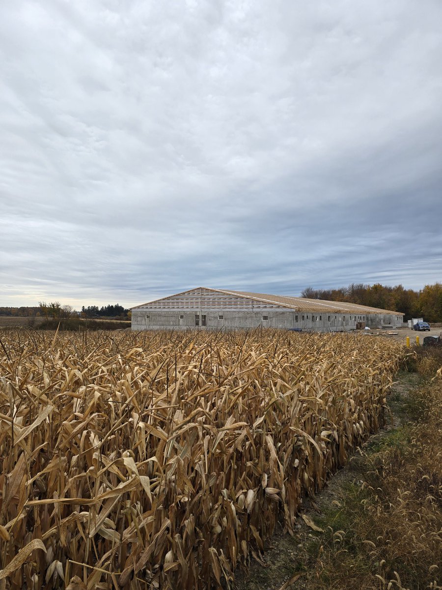 VanderlaanAl's tweet photo. Beautiful week to set trusses on two projects. https://t.co/BUdyFGWNCo
