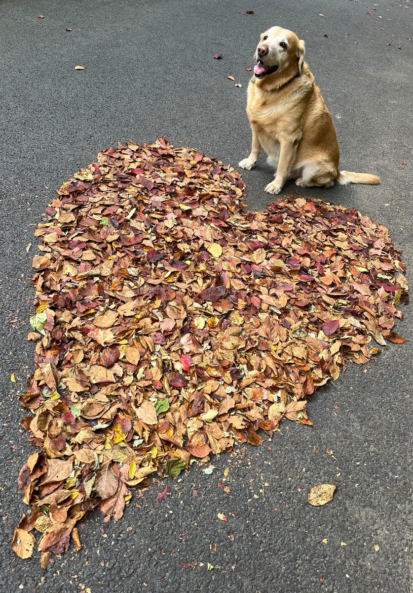 Made it for mom. Cheese please.  🧀