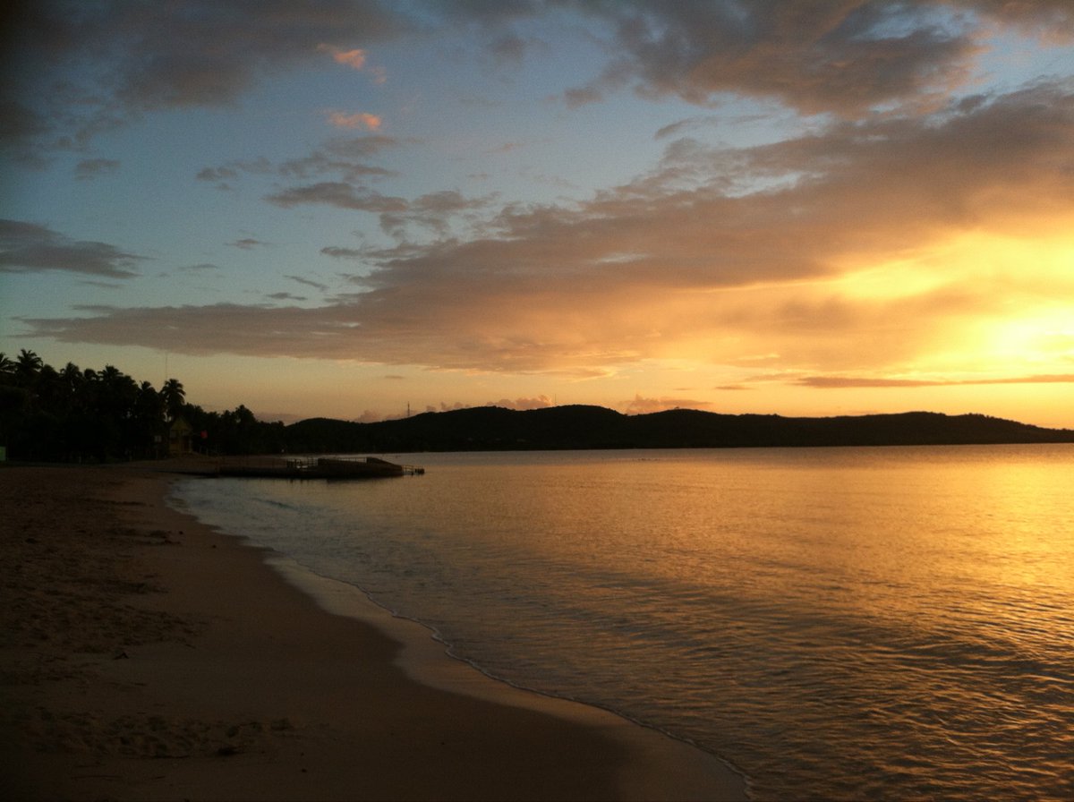 Morton Minsley tweet media