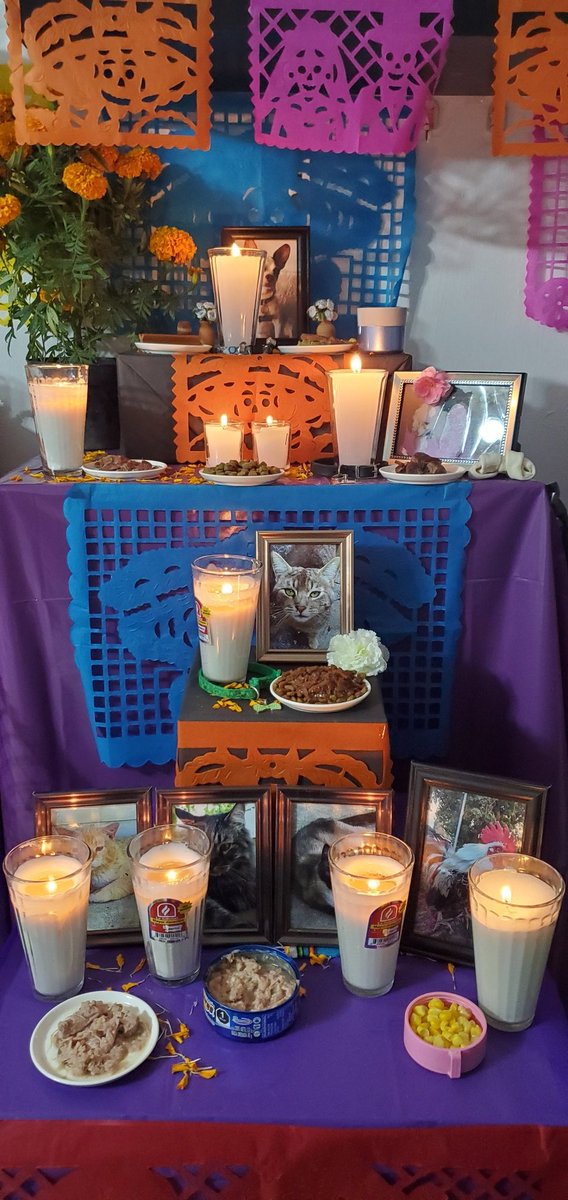 Kare Valgon ✨ tweet media