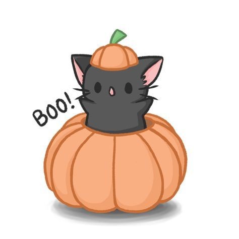 Adrien 🐾 (@catmeowpurrr) on Twitter photo 