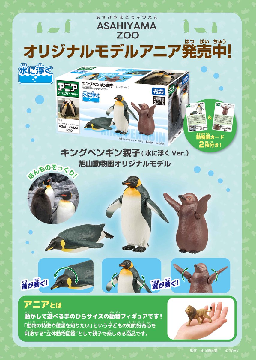 新商品情報＞アニア旭山動物園オリジナルモデル🐧 を1500円（税込）で