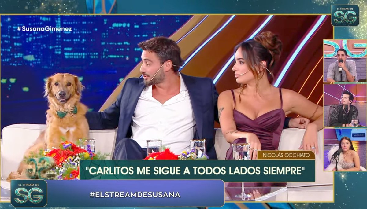 Perro, monogamia, familia y amor como se debe 
#susanagiménez #elstreamdesusana