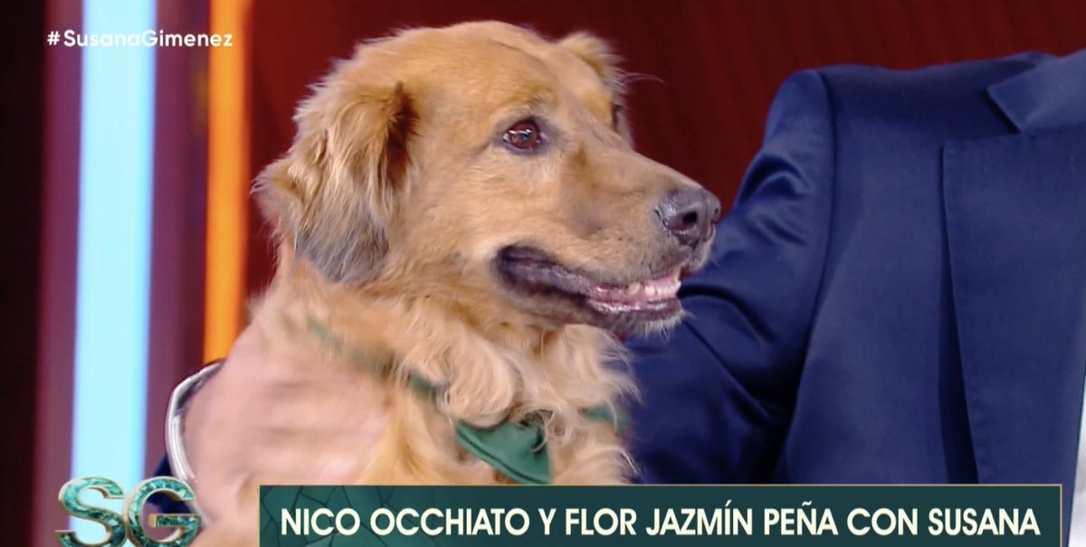 carlitos de la calle al living de susana 🤍😭
#SusanaGimenez