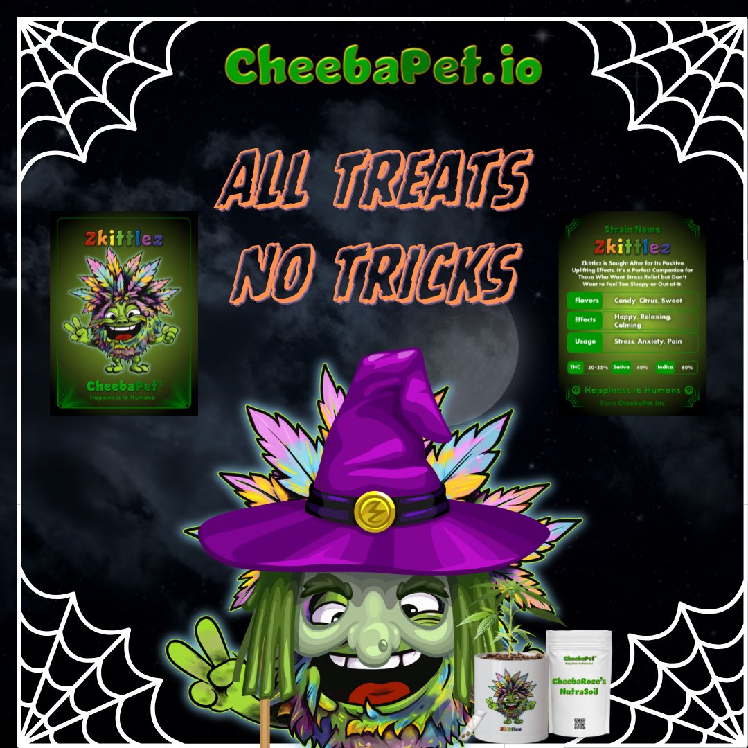 CheebaPet's tweet image. It’s all treats and no tricks with CheebaPet! Mint now for IRL planter kit claim at: CheebaPet.io 

Or buy now: cheebapet.com 
#LFG #CheebaPet