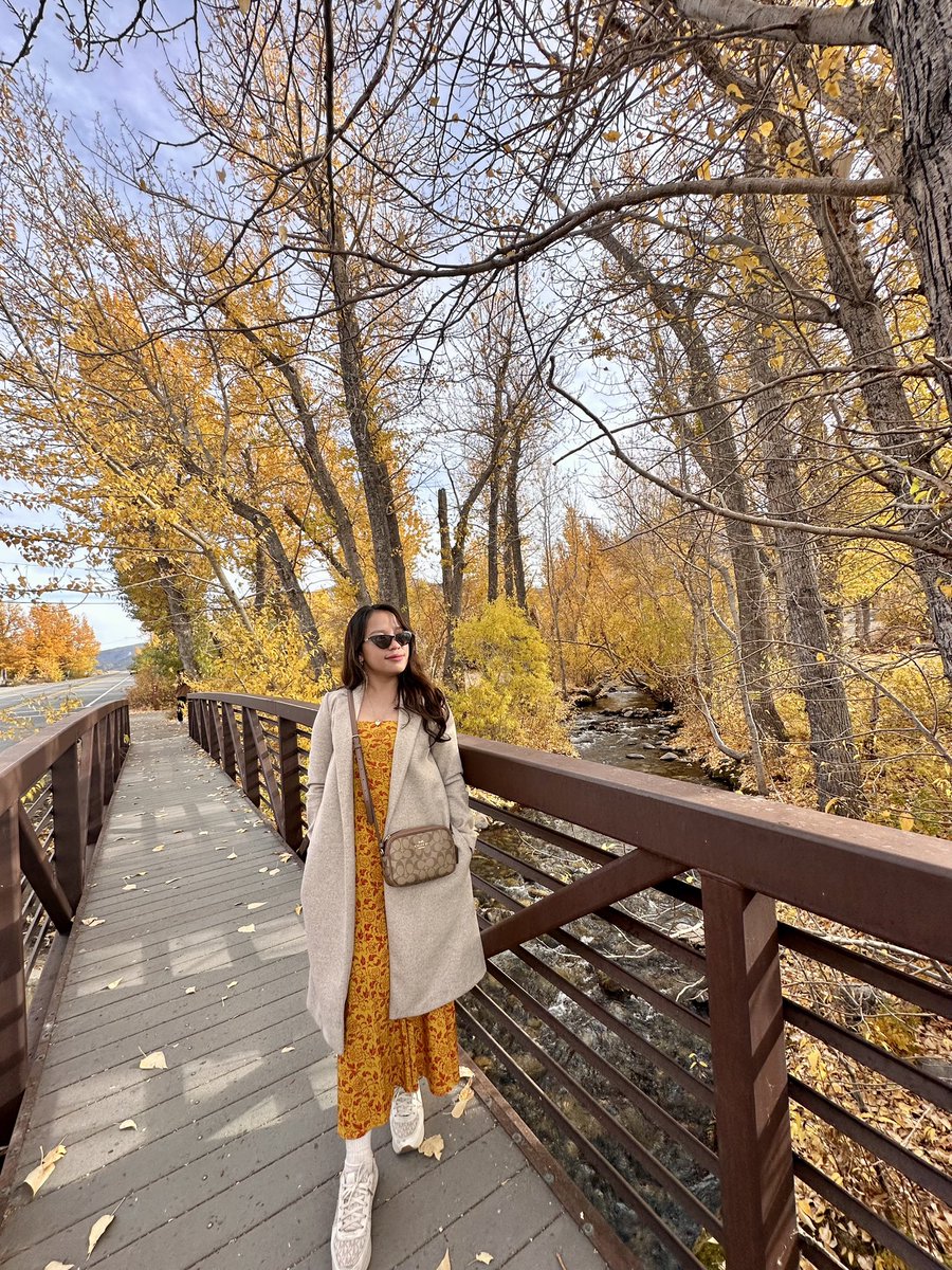 acemaguate's tweet photo. Falling leaves and falling for Fall 🍂 https://t.co/GOVSuMeyjL