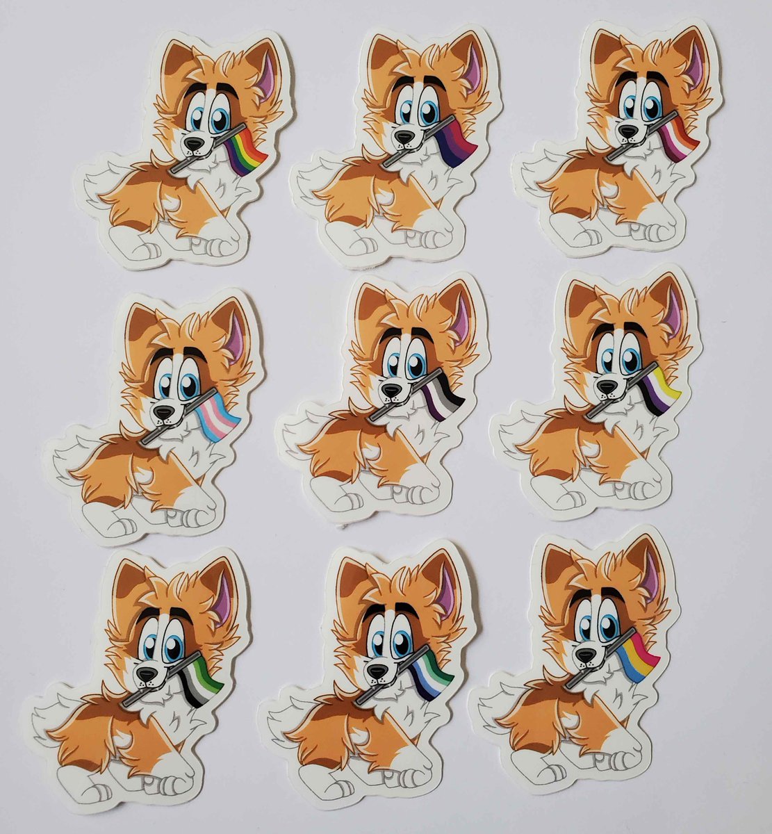 husky_cloud's tweet photo. Pride corgis and huskies, plus Maryland stickers to represent my home state! https://t.co/YWGPXgmglb