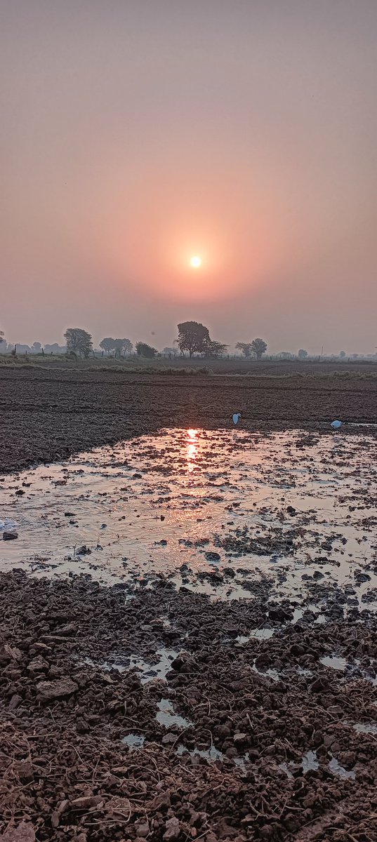 स्वर्णिम आभ