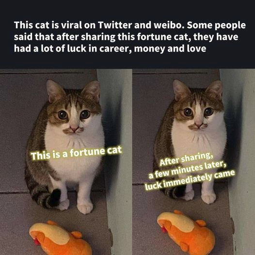 Papa Woof und Krampus und Bleaken (@woofknight) on Twitter photo 