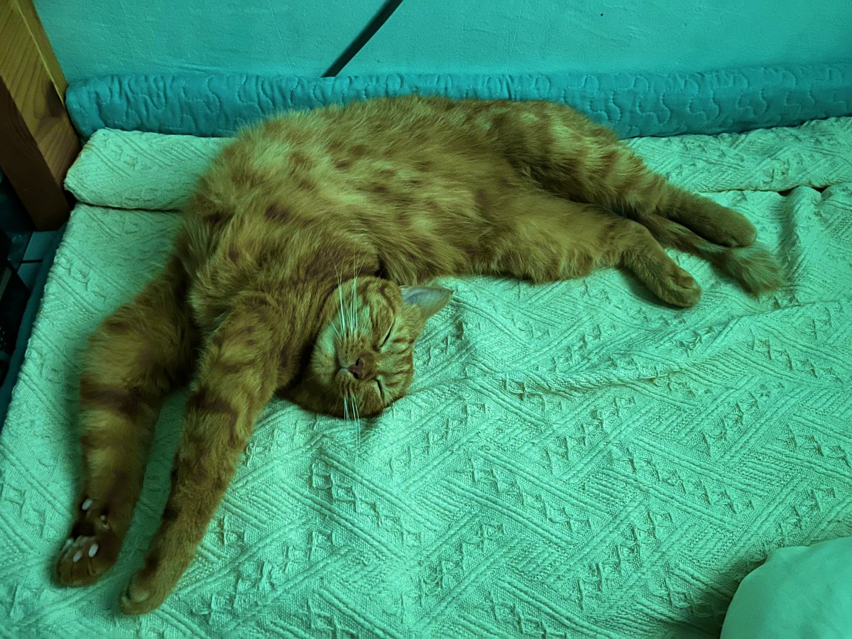 lyleesheyla's tweet photo. Pilates in dream 😂 https://t.co/AaJFbHdEBH