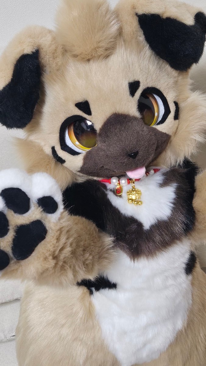 ˚‧♪ Roan ⁺˚೫‧* tweet media