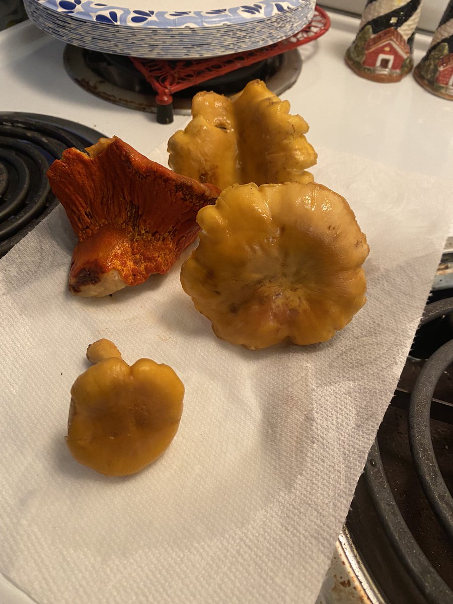 chat quickly are these safe to cook and eat