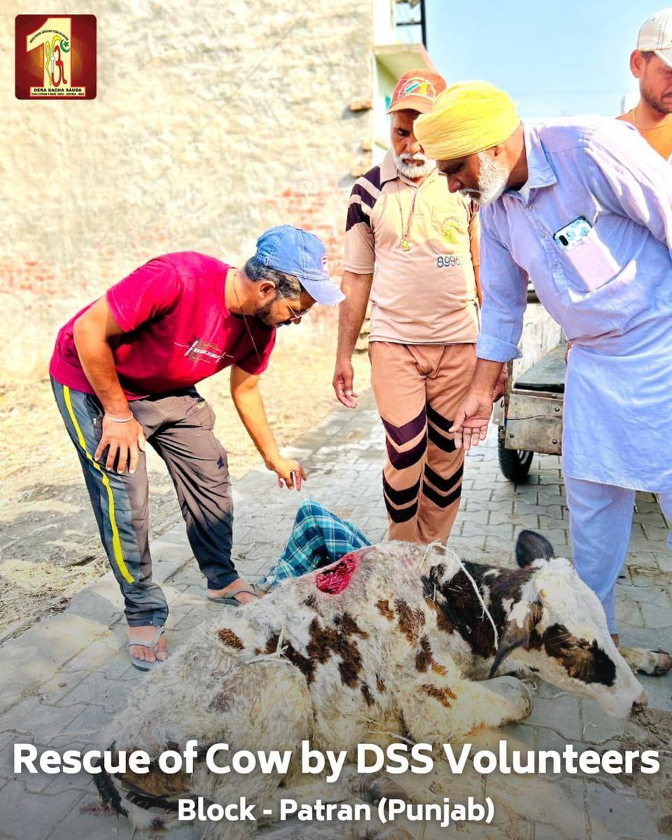 seema_educated's tweet photo. There are many animals who roam around in injured state,therefore,for the purpose of #ProtectAnimal by Saint Dr MSG Insan,after giving first aid to the injured animals the volunteers of DSS to save the humanity by getting them treated and taking care of them.
#MondayMotivation https://t.co/xajJ9i0nzx