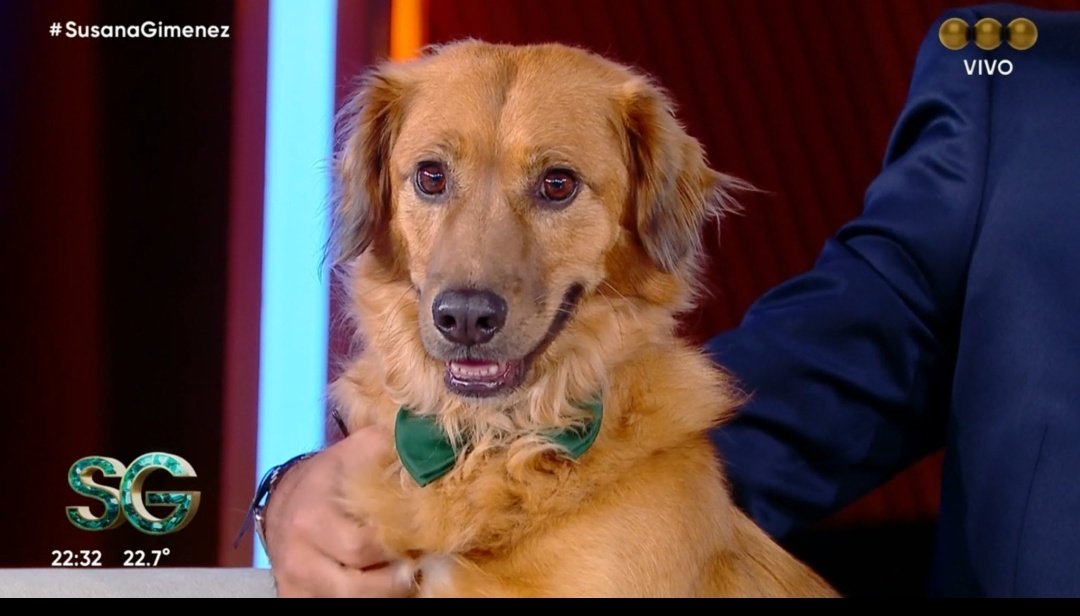 La emoción que me da ver a Carlitos en el Living de Susana. Gracias a todos los que ayudaron aquel día, mira la vida que pego esta hermosura ! Gracias <a href="/NicolasOcchiato/">Nico Occhiato</a>