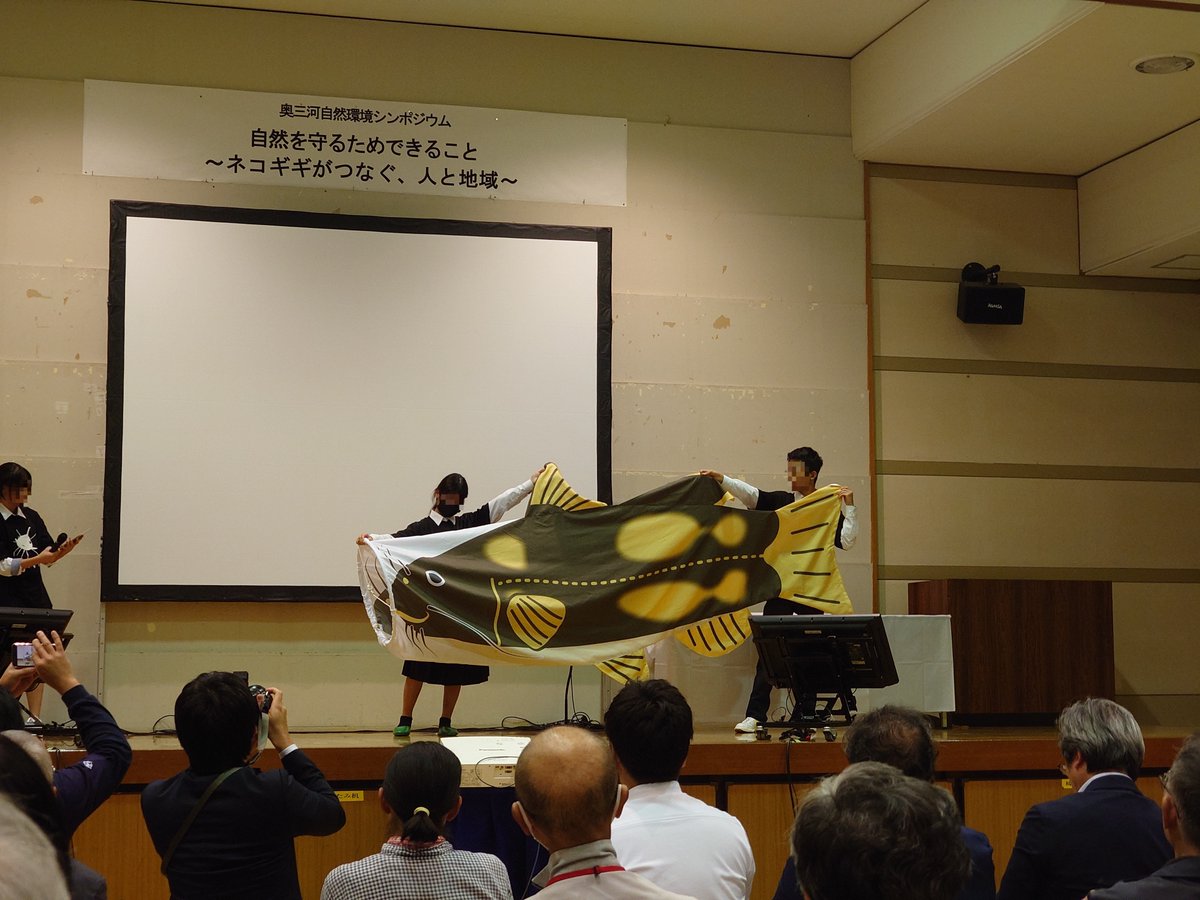 toyogawabiyori's tweet photo. 先日設楽町で開催されたシンポジウムにおいて、田口高校理科部員の皆さんがデザインされた、#ネコギギ のぼりがお披露目されました。
11月2日(土)開催の「田口高校・豊橋特別支援学校山嶺教室文化祭（設楽町民文化祭同時開催）」で展示するとのことなので、是非一度ご覧ください。

#とよがわびより https://t.co/nSLiTA2EAd