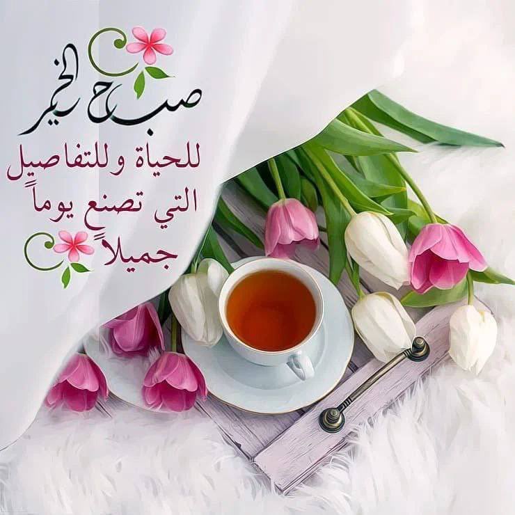 في كل صباح أخبر قلبك ؛
بأنه يستحق السعادة .. 🤍
صباح الخير.. ☕🌷🍃