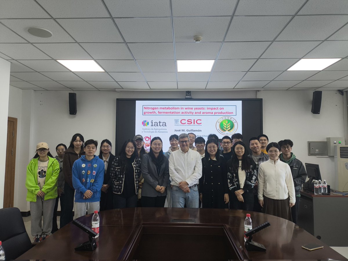 JM Guillamón tweet media