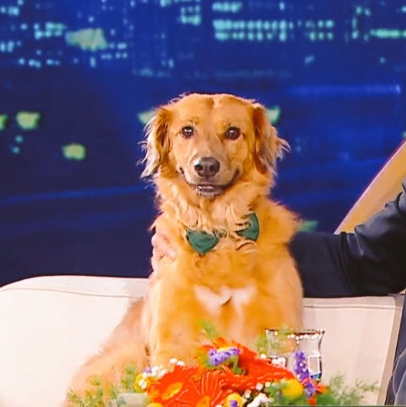 yo en mi primer día de trabajo