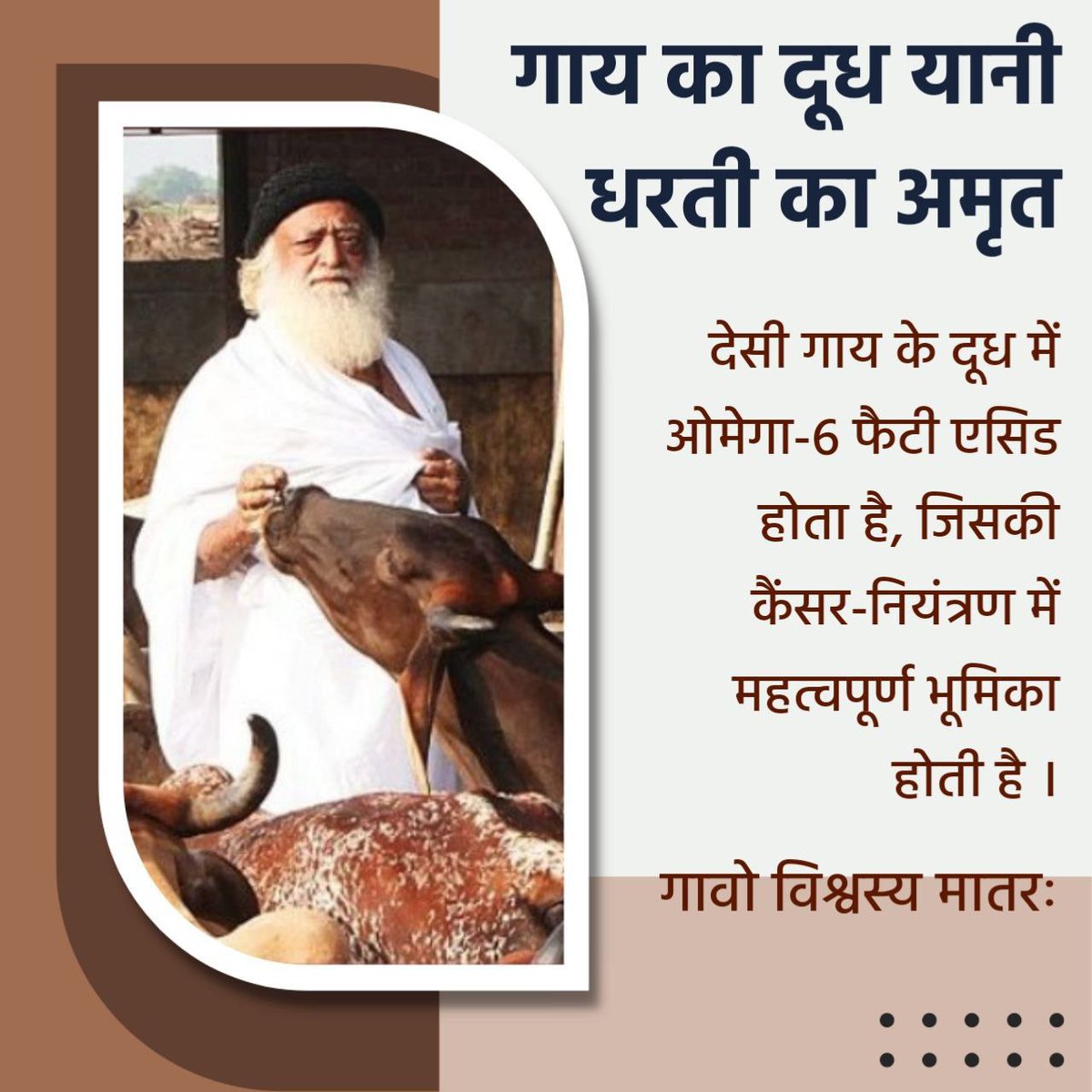 SKOfficial1369's tweet photo. Discourses of Sant Shri Asharamji Bapu explain about Desi Gaay Ke Labh highlighting its spiritual, medicinal &amp; health benefits. Gau Raksha Abhiyan is being run by Bapuji's Ashrams across the Nation. Bapuji put great emphasis on #GauSeva &amp; Gau Raksha.
https://t.co/0GCwNvMmpp