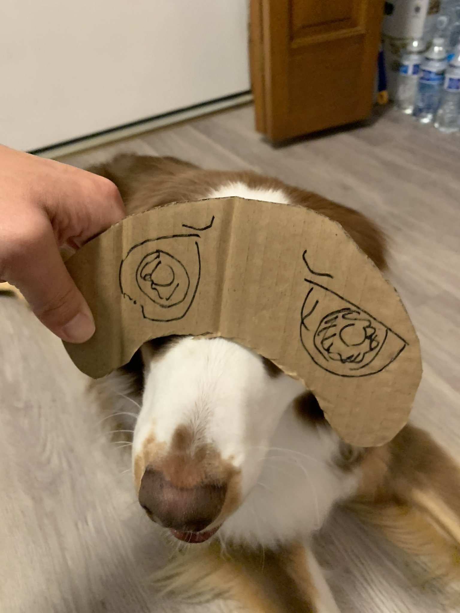 Pretzel (@Pretzel18598417) / X