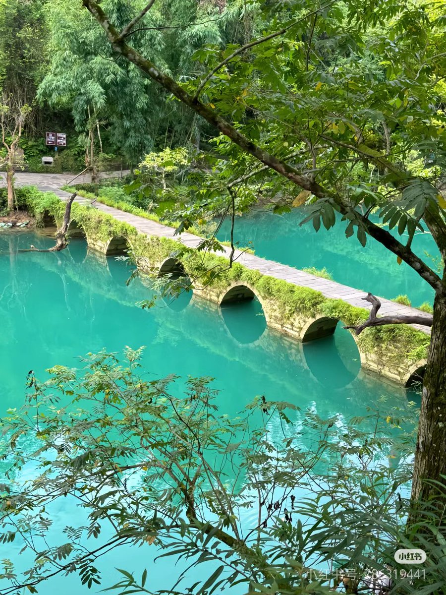 JiRongCHN's tweet image. Happy Monday and have a great week ahead. #Guizhou #Libo