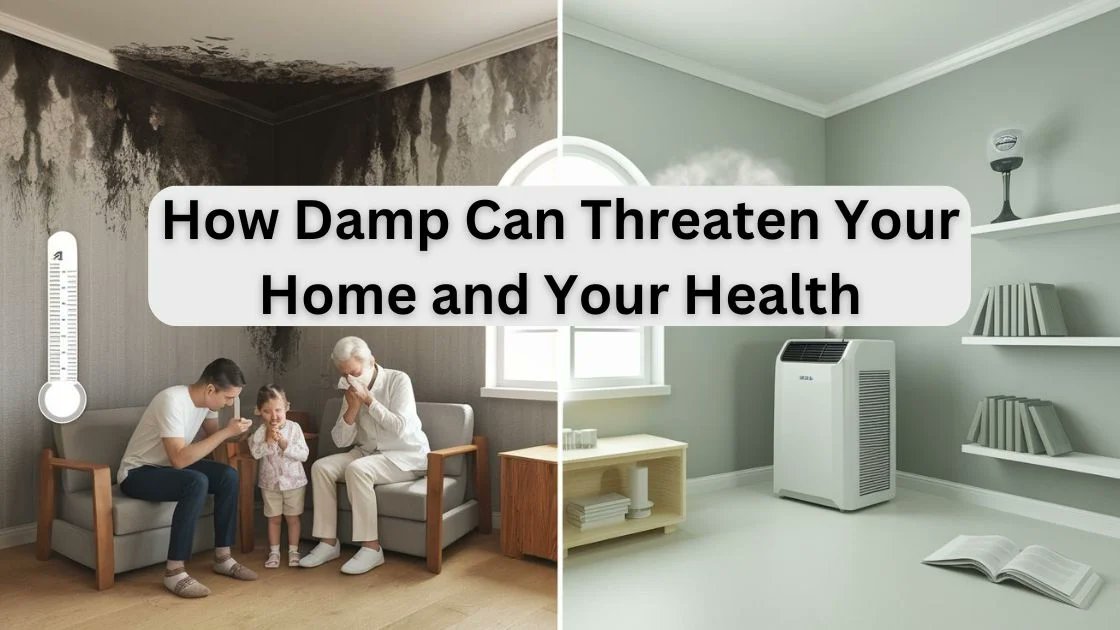 PCLA_NI's tweet image. Damp walls aren’t just unsightly—they can harm your health! Learn about the risks and how to address them effectively. cstu.io/497132 #HomeHealth #DampProblems