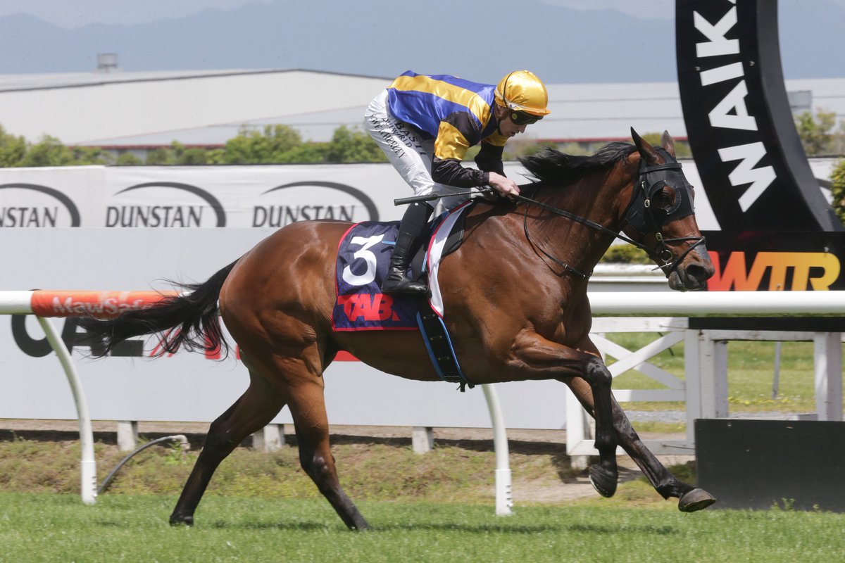 nzracingnews's tweet photo. NEWS: “He executed it perfectly, he skipped off the corner and held on. It was nice to see.”

Summer Cups targets are on the horizon for stakes winner Ess Vee Are after ahis bold win in the SkyCity Hamilton Waikato Cup Prelude (2400m) at Te Rapa Racing.
https://t.co/AQt3zAxoyN https://t.co/knTwXer70a