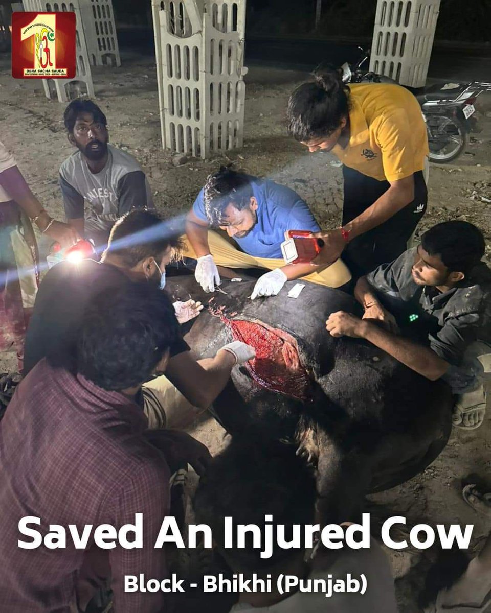 AnjeetAnju's tweet photo. Saint Dr MSG Insan explains that we should love every living being created by God. Dera Sacha Sauda followers put reflectors around the necks of stray animals to protect them from accidents under #ProtectAnimal and arrange for their shelter and food. #MondayMotivation https://t.co/2KijY4vjTB