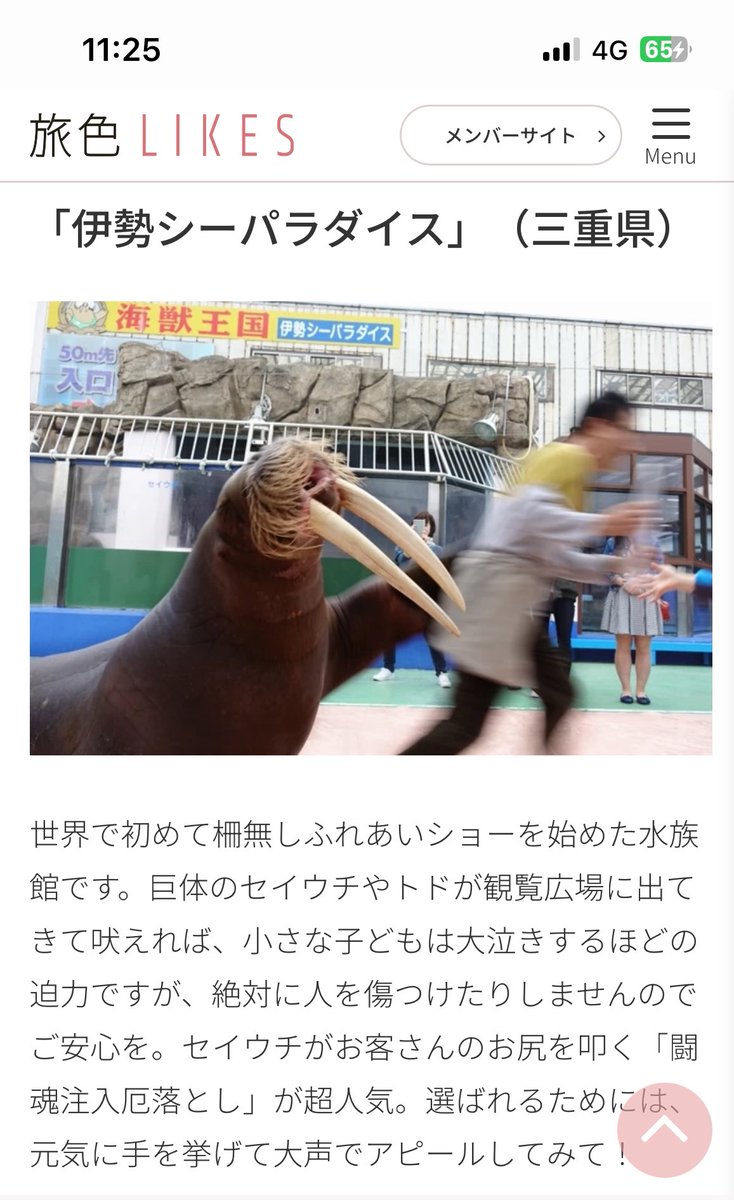 osiroiobake's tweet photo. 残像の具合が好きすぎる https://t.co/zM4UyohIrz