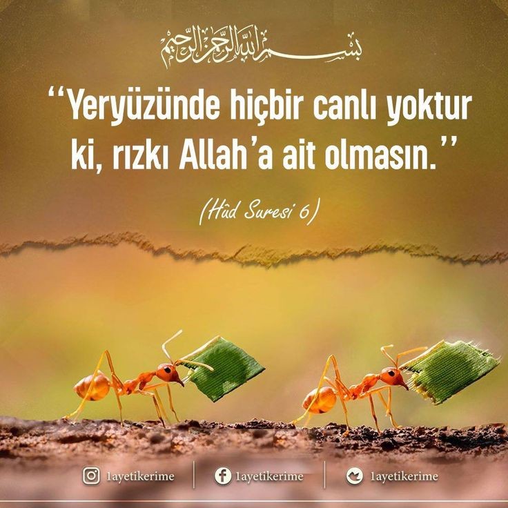 Es selamün aleyküm. Hayırlı, nurlu sabahlar. Huzurlu, sağlıklı bereketli haftalar.
Es selatü hayrun minen nevm.
#GazaStraving #DontForgetGaza 
#DoğuTürkistan #GazaGenocide 
BİSMİLLAHİRRAHMANİRRAHİM...