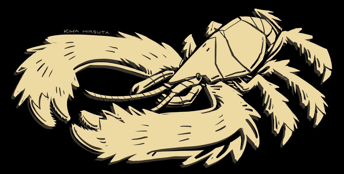 #invertober day 27, yeti crab. a veritable carpet on this beast

#invertober2024