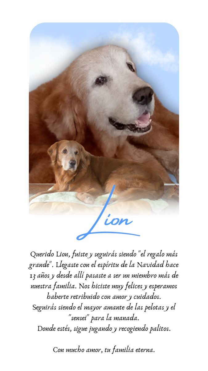carmenerojas's tweet photo. @twaniimals https://t.co/fOJxGjoBcx