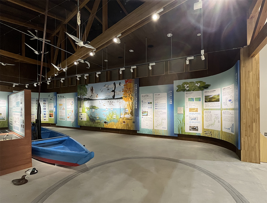 大型の展示用イラスト担当しました！この秋オープンの #ラムサール条約湿地　#涸沼水鳥湿地センター 生態系中心に展示室内のイラスト全て担当しましたー。現地に行けたらまた報告します:) 展示室が広いんですよー^^
#イラストレーター #動物イラスト #涸沼 #鳥のイラスト ＃イラストの仕事 #自然科学