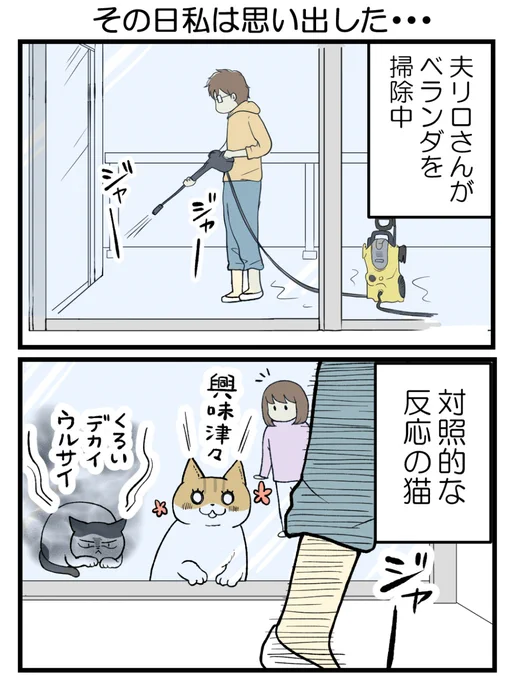 (1/3) 