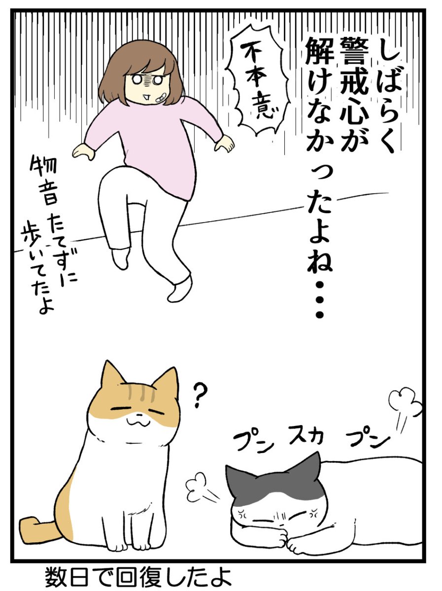 (3/3) 
