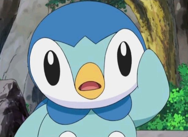 Sp0tlightPiplup's tweet photo. { Pip ? } 

( The small Pokémon tilts his head , slightly curious . ) https://t.co/Ua09cRFTfQ