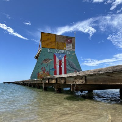 #PuertoRicoisnotgarbage #vote 🗳️💙🇵🇷✊🏾✌🏾