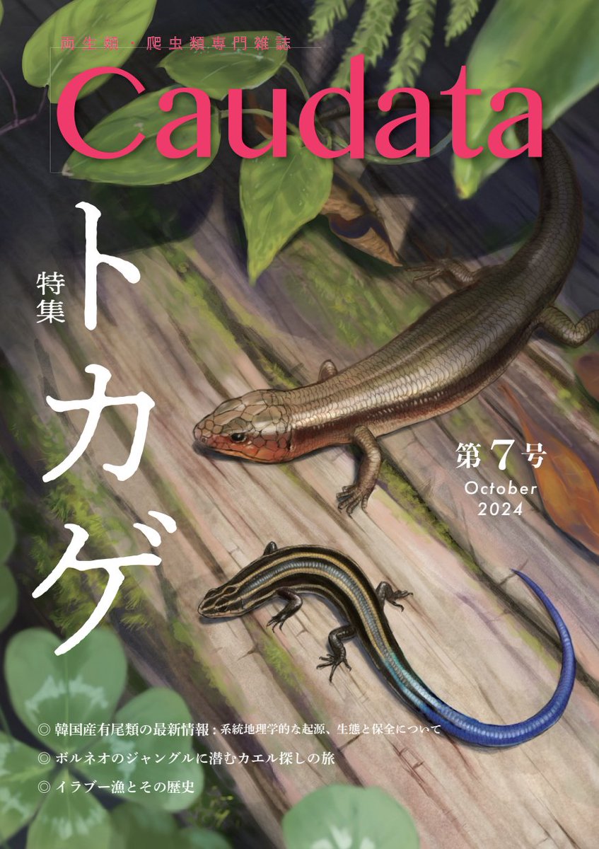 7号の書影が届きました！
ありヒノコ【<a href="/arihinoko/">ありヒノコ</a>】様に表紙イラストを描いていただきました。日光浴をするトカゲのかっこよさや愛らしさが伝わってくる、素敵なイラストをありがとうございました！
画像にはOctoberと入っていますが、発売は11～12月を予定しております。皆さまどうぞお楽しみに。