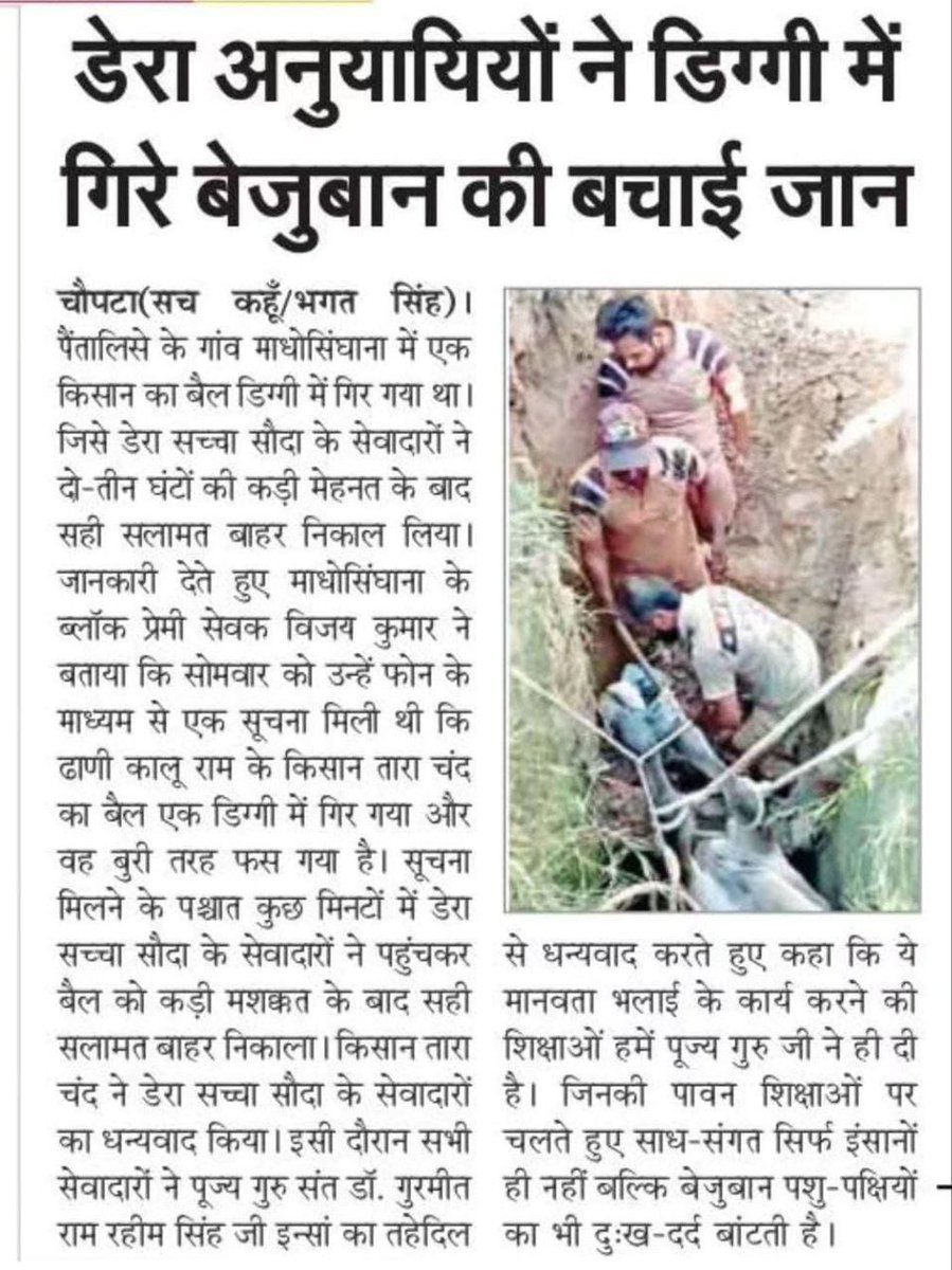 Being the humans it's our moral duty to #ProtectAnimals as much as possible like arranging food &amp; water for them, treating injured ones, etc. As per the teachings of Saint Dr MSG Insan, Dera Sacha Sauda volunteers do a lot of animal welfare by saving their lives
#MondayMotivation