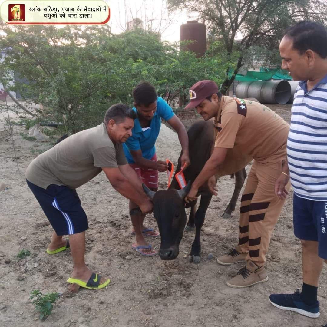 RakhiKashy77203's tweet photo. हमे जानवरों के प्रति दया भाव रखते हुए उनके लिए चारा पानी का प्रबंध करना चाहिए ।
#ProtectAnimal के लिए Saint Dr MSG Insan जी ने Aniamal Welfare मुहिम की शुरुआत की।इसमें डेरा सच्चा सौदा के अनुयाई आवारा पशुओं को चारा पानी के साथ घायल पशु की देखभाल  भी करते हैं। https://t.co/7wfi0BRd1E