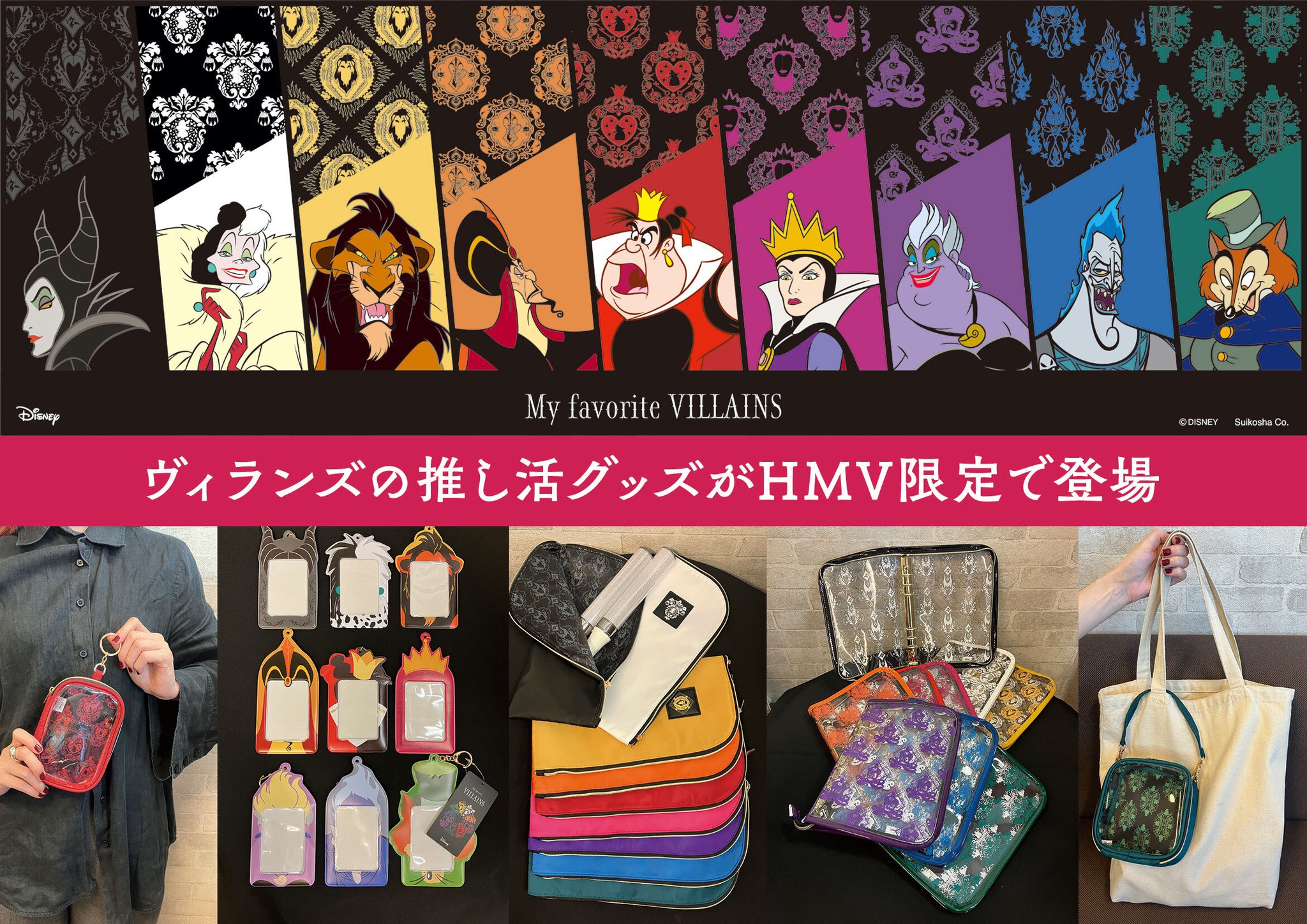 ディズニーヴィランズ グッズ いろいろ大量まとめ売り ディズニー ヴィランズグッズまとめ売り ヴィランズワールド