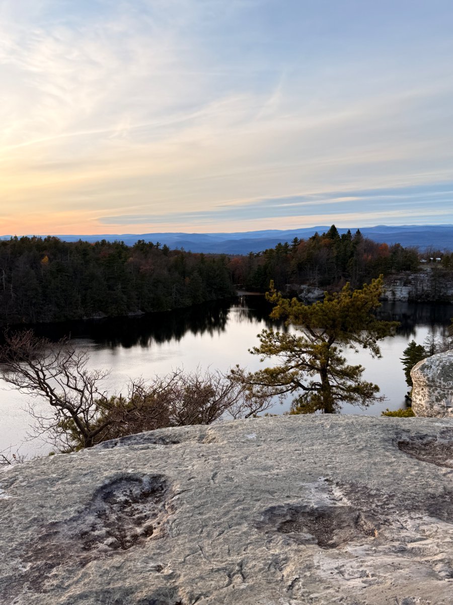 Arthur Genre 🗽 tweet media