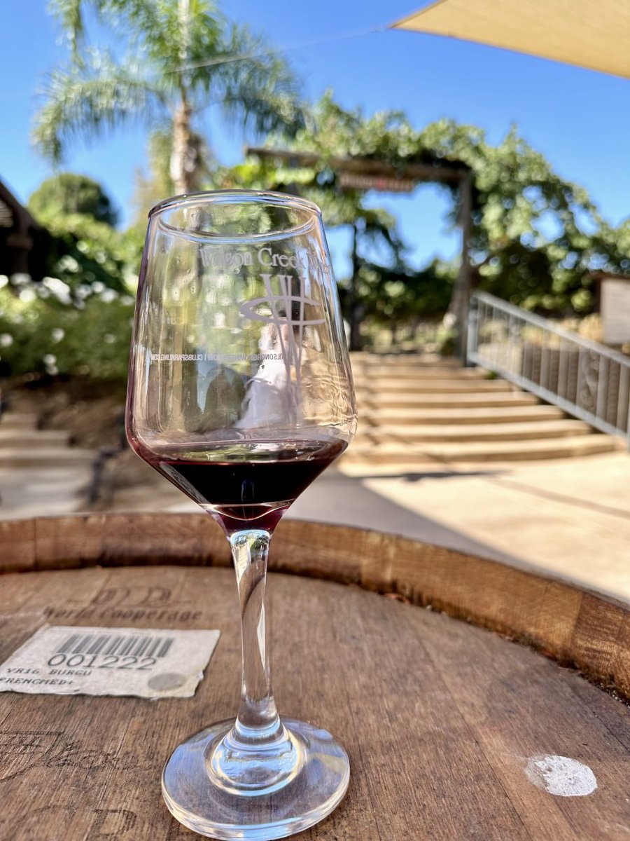 Trinity5206's tweet image. #america #los angeles #wine #winery #wine #weekend #x  Wilson Creek Winery About an hour from LA Lots of tourists throwing parties Weather was great Didn't see any on the vine 🐍Address: 35960 Rancho California Rd, Temecula, CA 92591