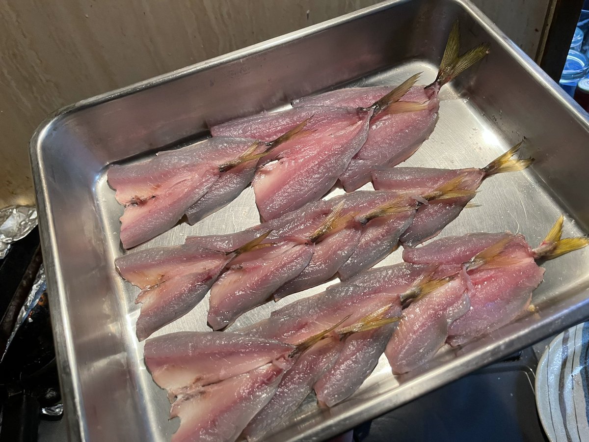 _RES4Y's tweet image. アジの背開きうまくなってる