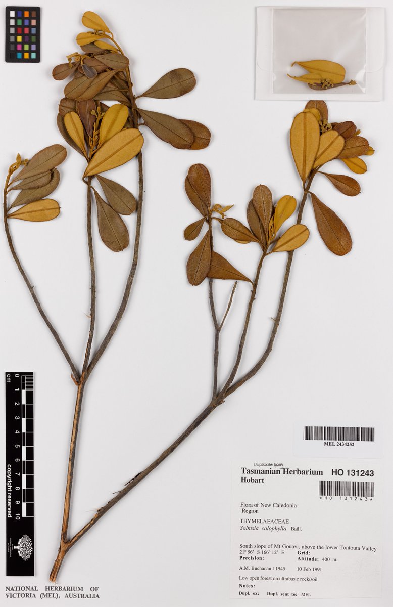 RBGV Science tweet media