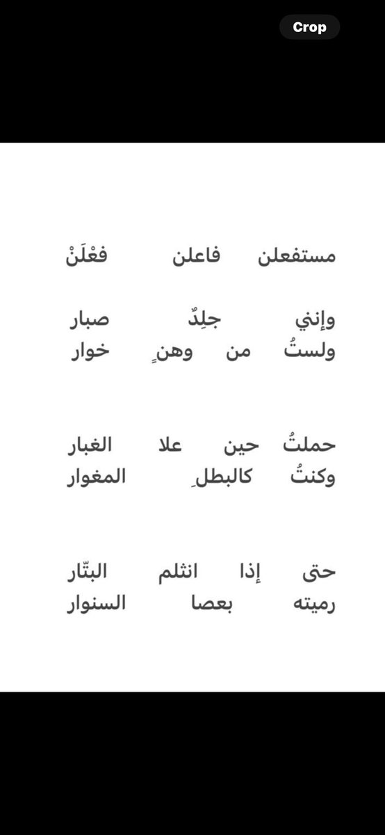 7944-مفاوز tweet media
