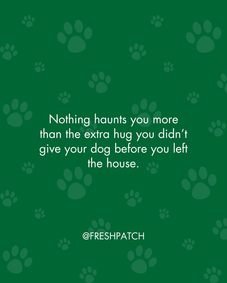 FreshPatch's tweet image. Should I go back now? ⁠
⁠
#FreshPatch #DogParentProblems #DogMom #DogLovers